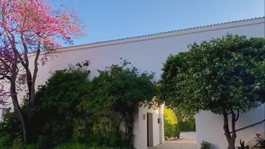 Patio del pozo 