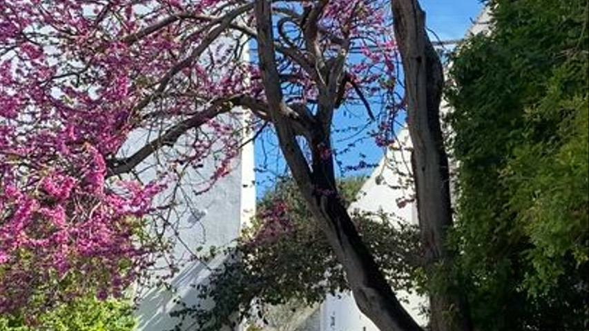 Patio del pozo 