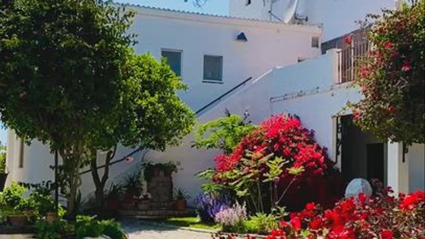 Patio del pozo 