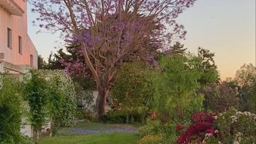 Jardín privado