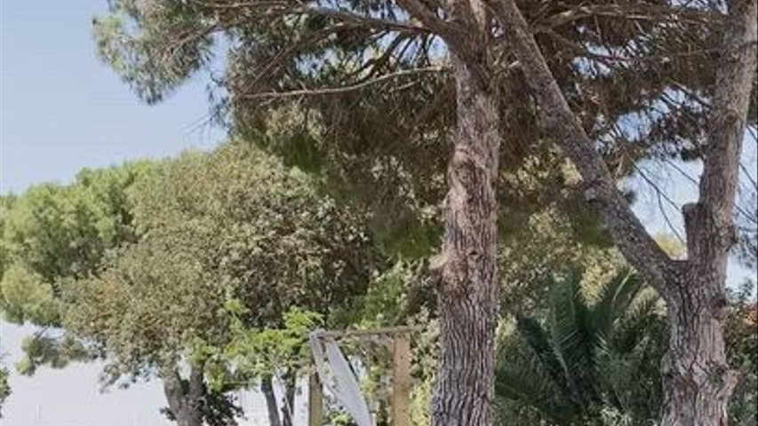 Jardín de la capilla