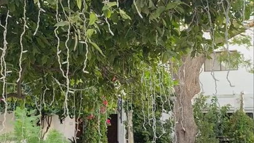 Patio del pozo 