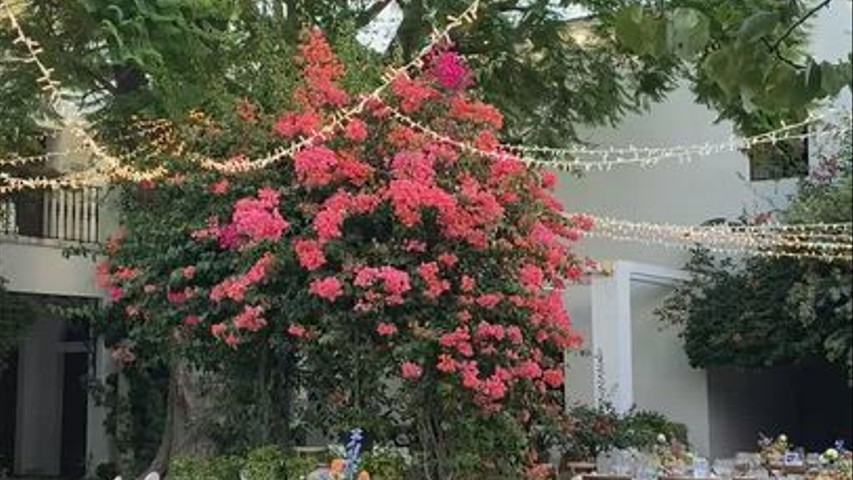 Patio del pozo