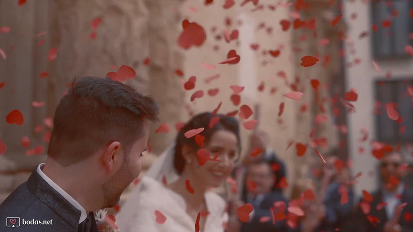 La boda de David y Nerea