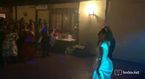 Comenzamos la barra libre 