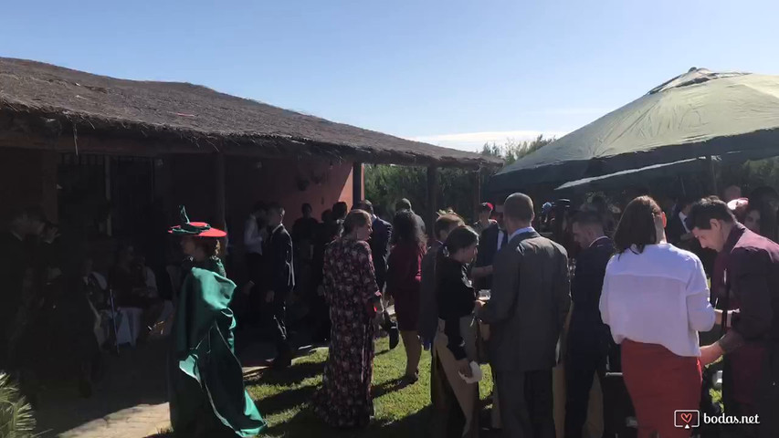 Aperitivos en jardín 
