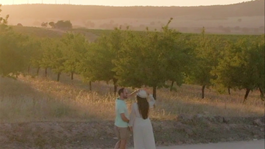A&P: Preboda III