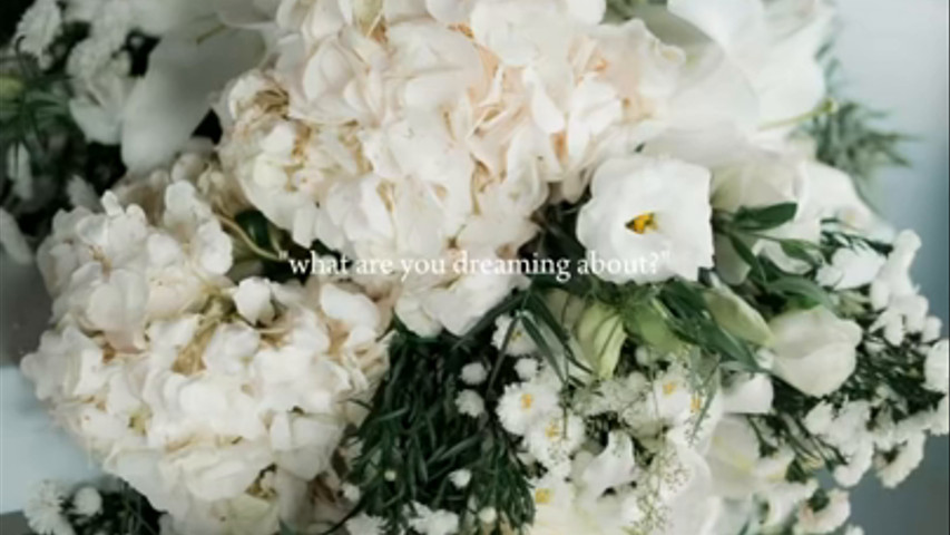 The dreams weddingplannerespana