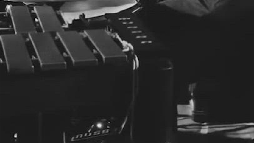 ¡El vibráfono con su sonido único!
