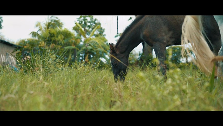 Diana & Jaime -  Una boda venezolana tradicional