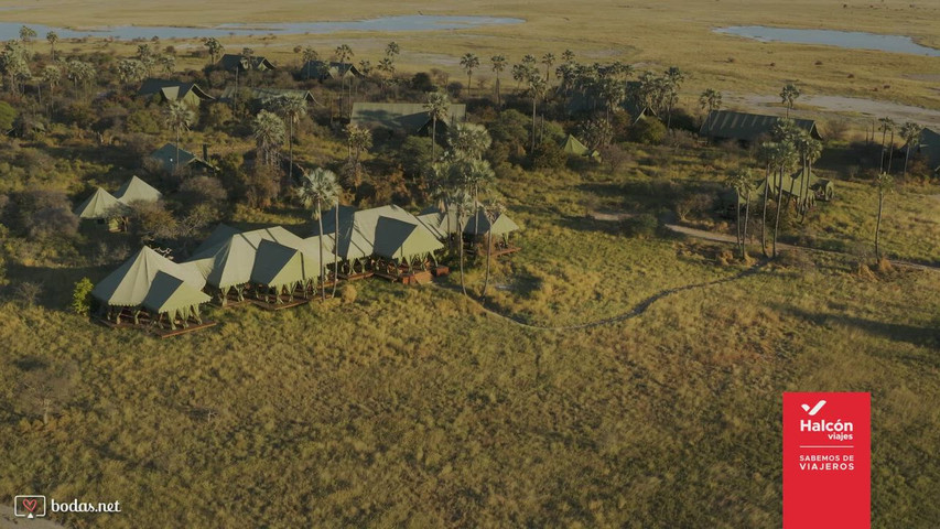 Safari