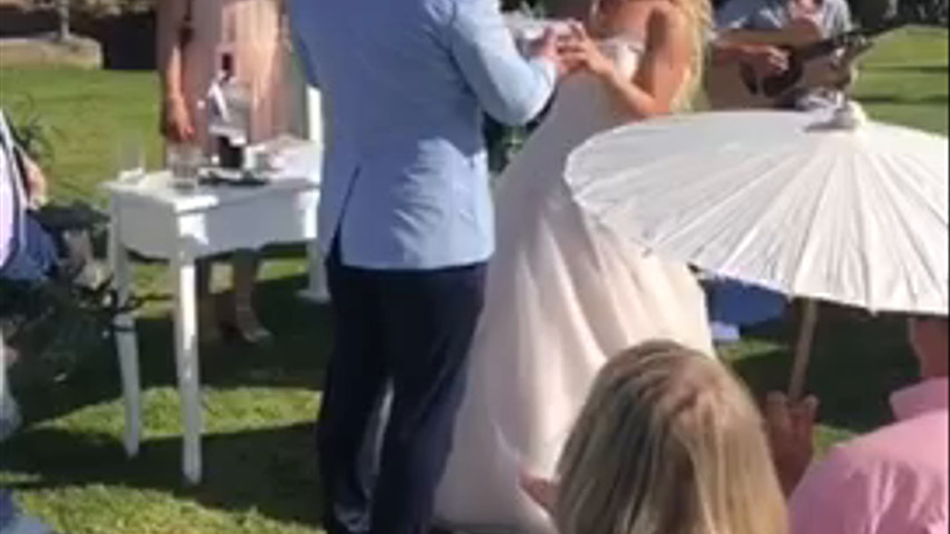 Mariposas vivas para la boda