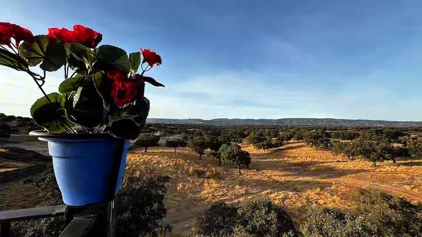 Finca para bodas con vistas en Córdoba | Balcón de los Pedroches