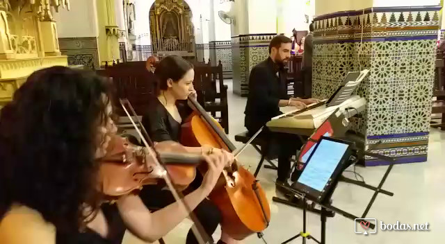 Canon Pachelbel - Violín, violonchelo y piano
