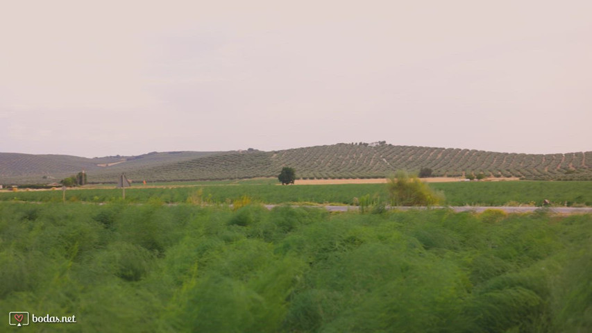 EL CAPRICHO