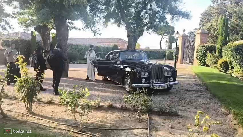 Video r royce granate 