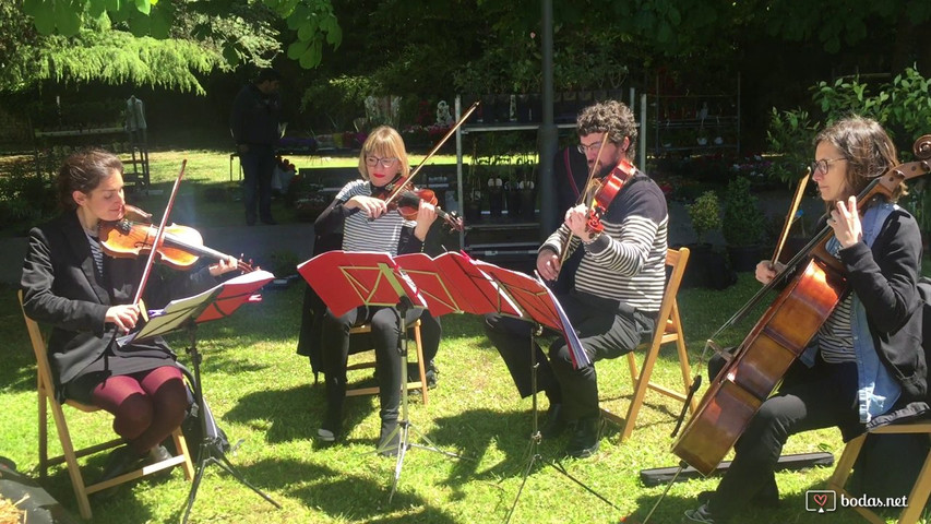 Cuarteto de cuerda Mr. Swing