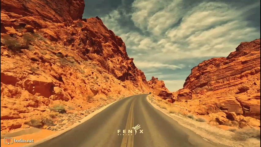 Fénix Viajes