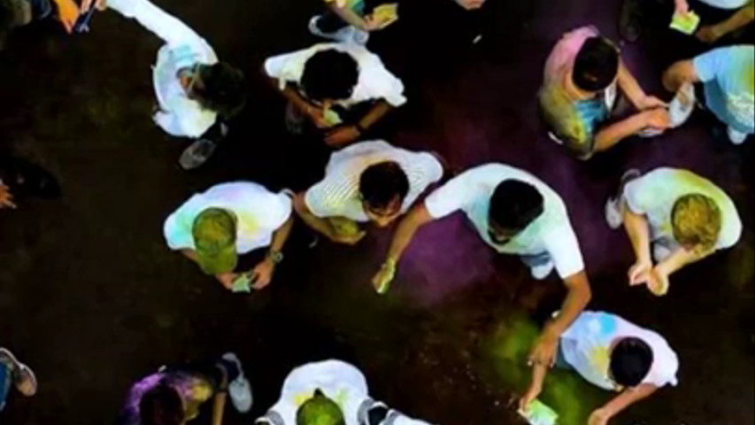 Fiesta Holi