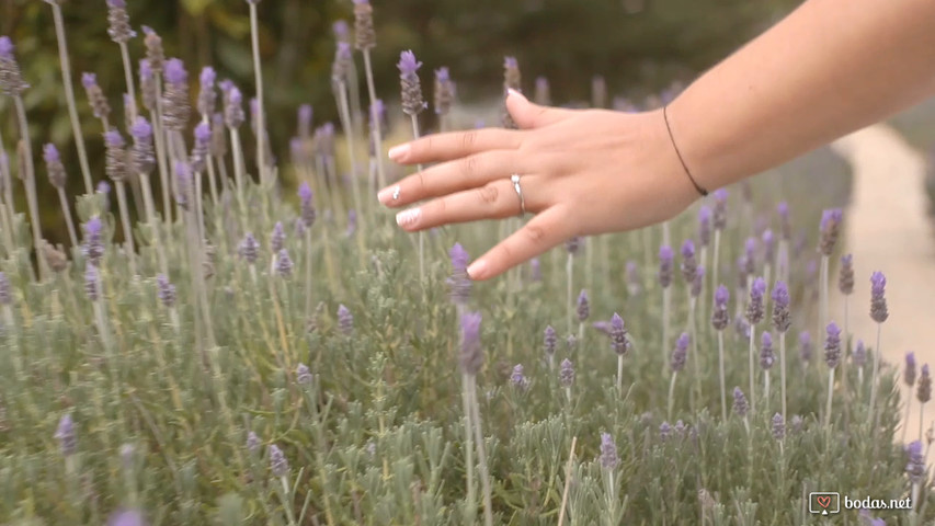 Teaser boda