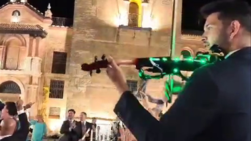 Violín eléctrico