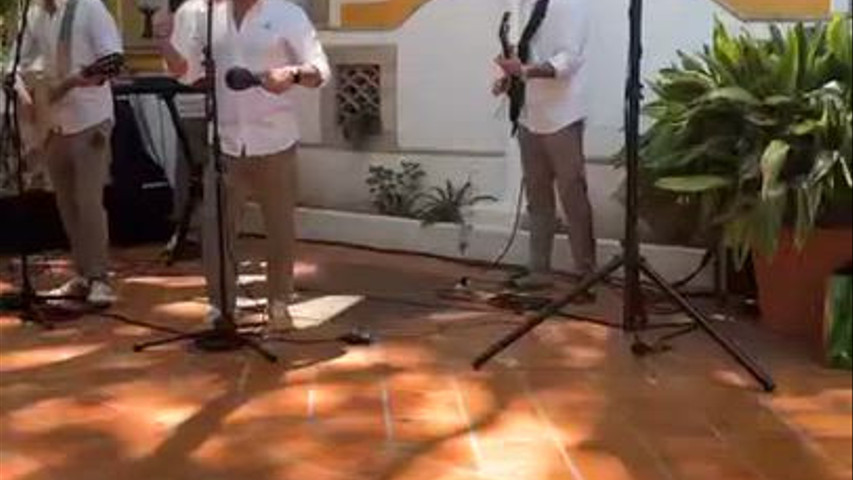 Aureine Weddings & Events 