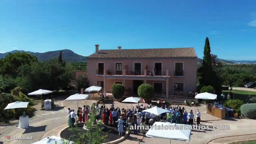 Almavision estudios video 1 178506519012669