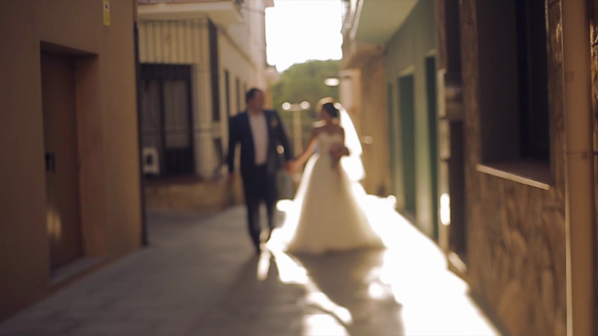 Roman & Elena wedding video