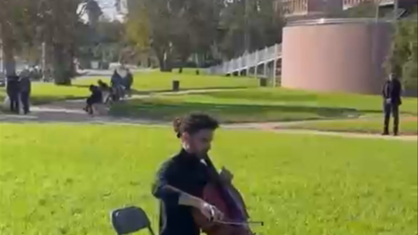 Violonchelo en Boda