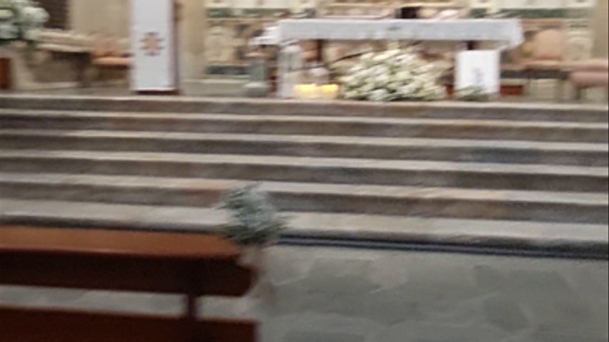 Boda en Iglesia de la Purísima Salamanca 