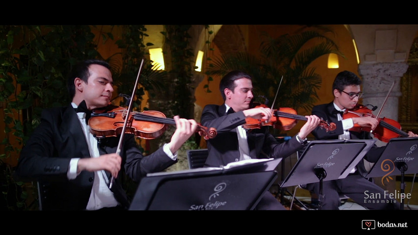 Viva la vida, corto, alta calidad 