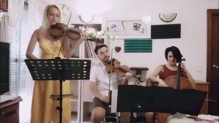 Trio de cuerdas Musica Omnia