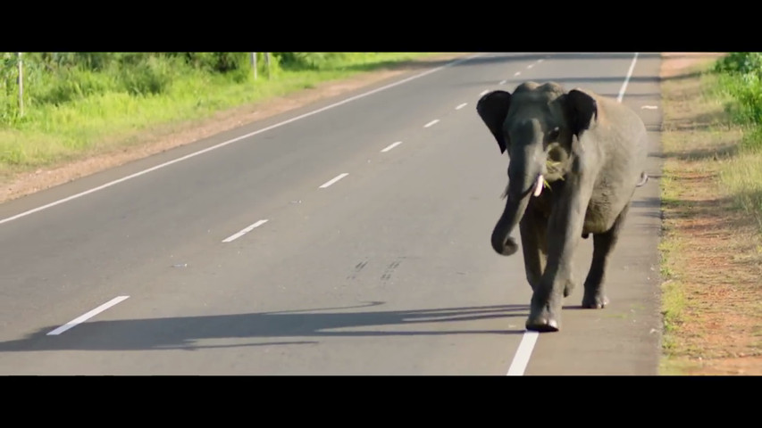 Sri Lanka 