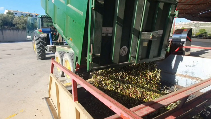 Directo desde nuestras fincas