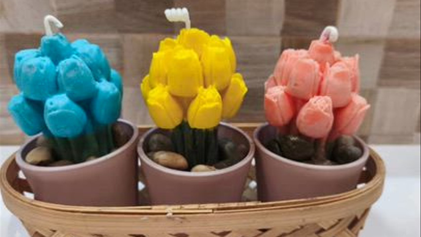 Aromas de paz