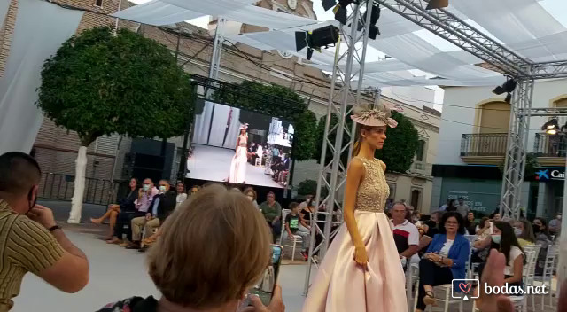 Colección Beatriz