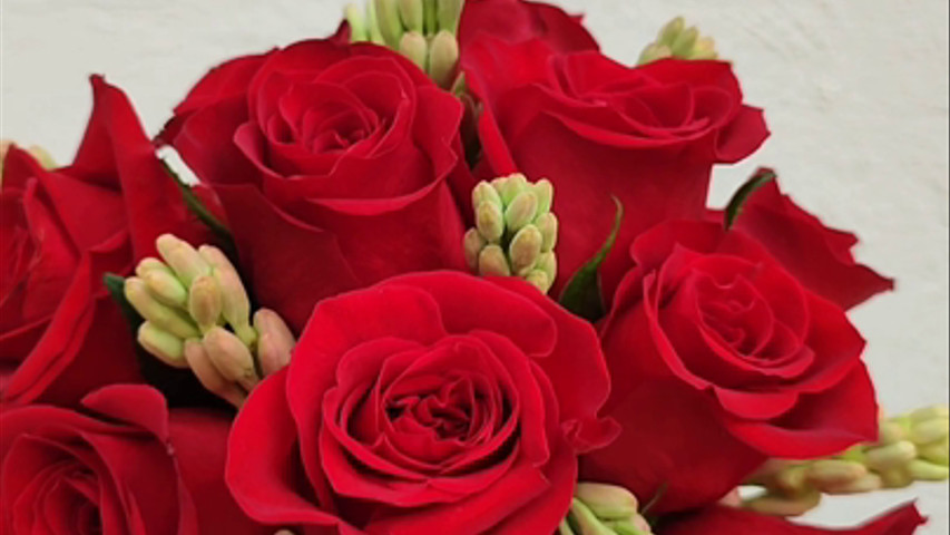 Rosas rojas para el amor