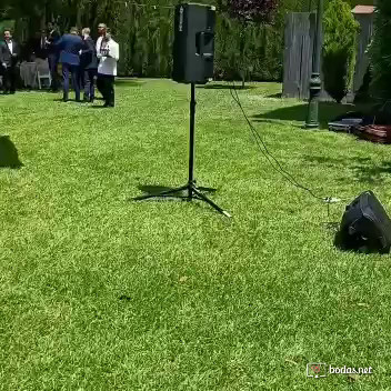 Cante y guitarra en copa de bienvenida de boda