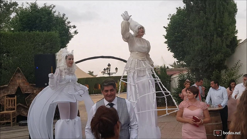 Bodas únicas