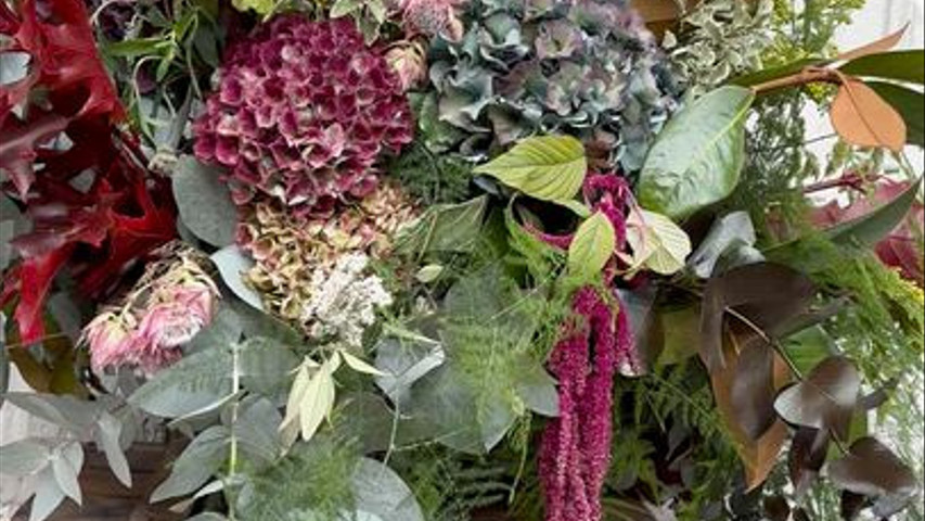 Hortensias de Galicia