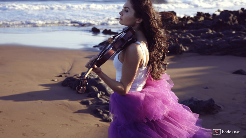 Violín
