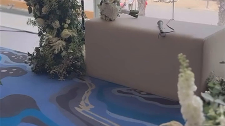 La boda de Ana y Thierry
