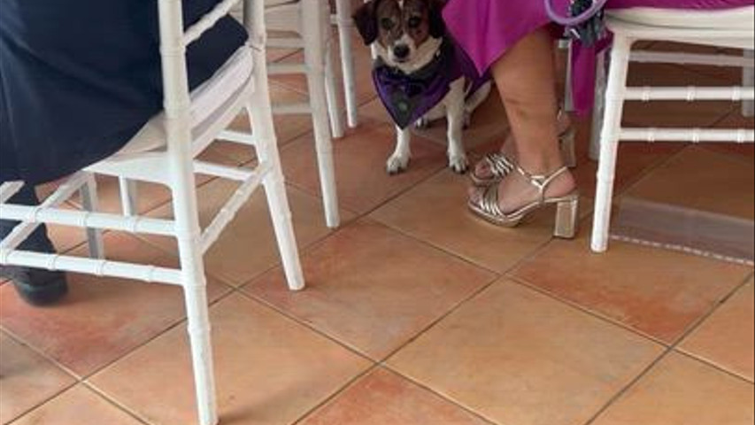 La boda de Evelyn y Sandra