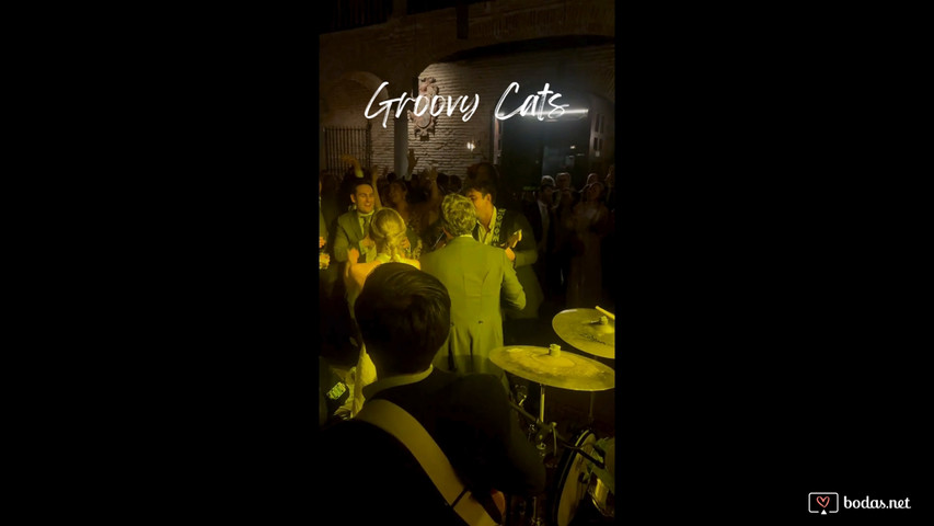 Groovy Cats (live)