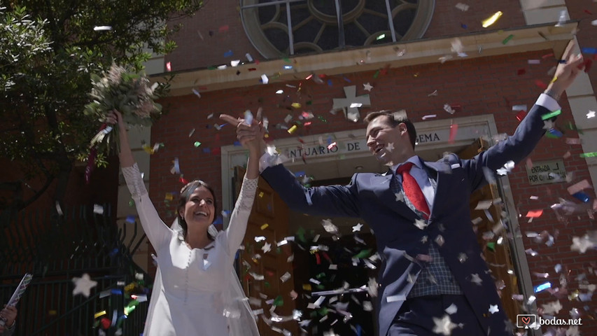 Boda en Palacio de Aldovea