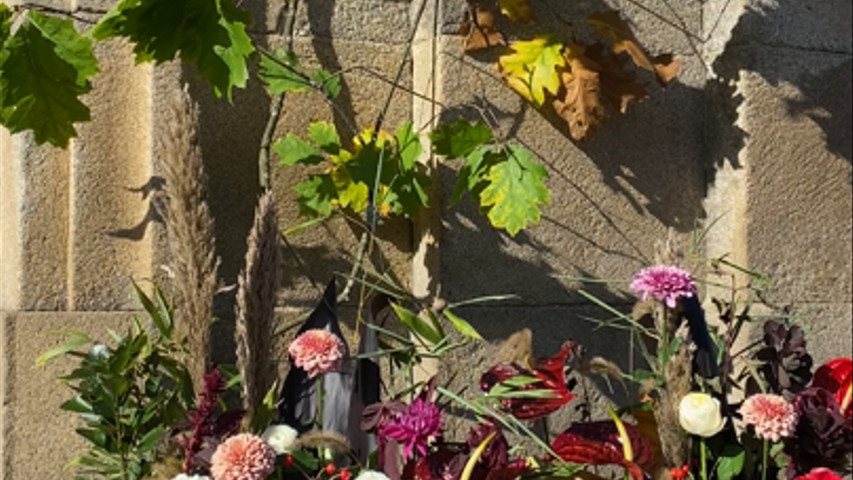Entre Flores