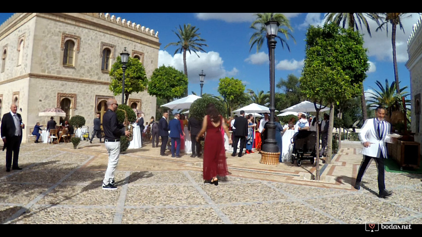 Cóctel boda