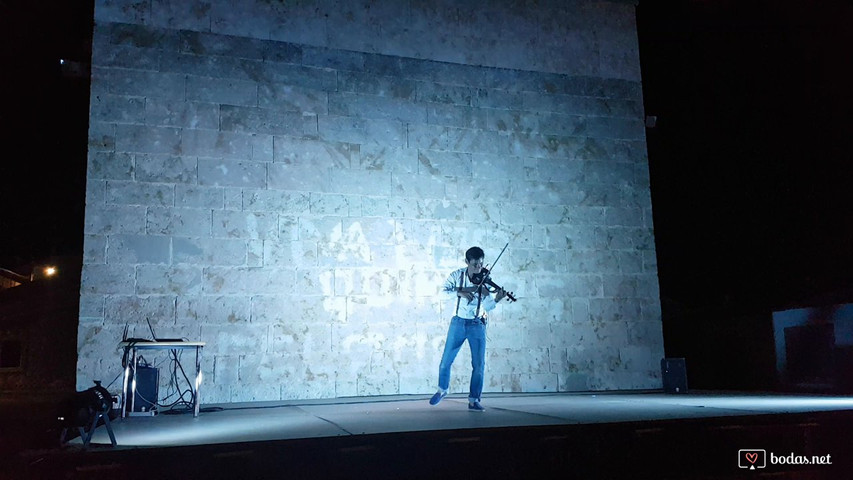 Bailando (Enrique Iglesias) - Live concert - electric violin cover