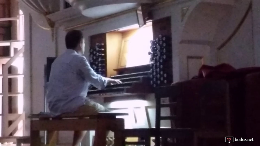 Manuel Mendo - Organista