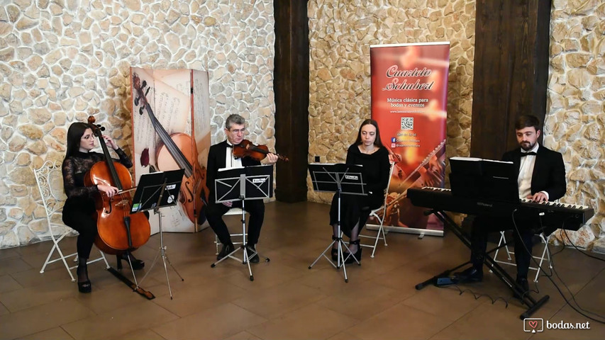 Canon Pachelbel con el cuarteto